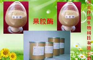 食品行業用纖維素酶供應——高效、安全的全方位解決方案